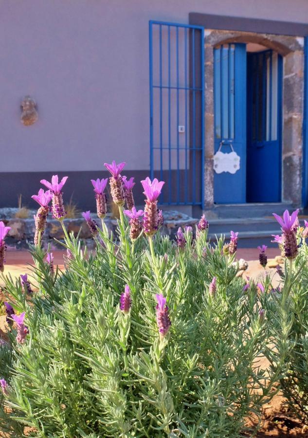 B&B Casanera Riposto Exterior photo